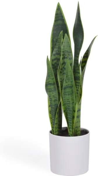 Sansevieria, artificial plant, white, H55x18x19 cm