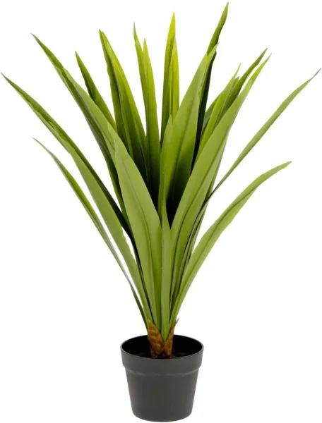 Yucca, artificial plant, green/black, H80x60x60 cm
