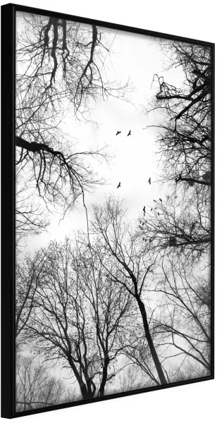 ARTGEIST Framed Poster - Treetops Black 40x60