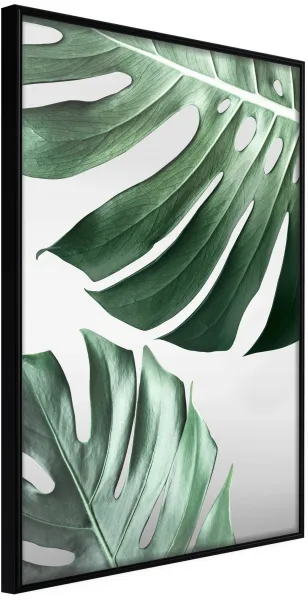 ARTGEIST Framed Poster - Leaves Like Swiss Cheese Black 30x45